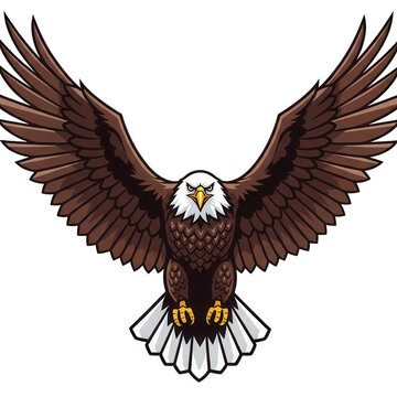 Of a bald eagle with wings spread wide, featuring brown feathers, a white head, and a yellow beak on a black background