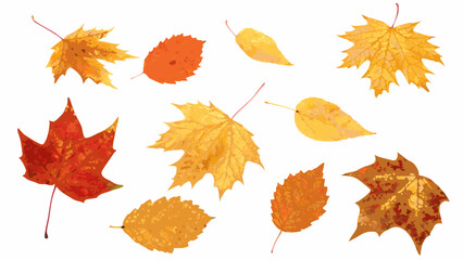 Fototapeta premium scattered autumn leaves collection vibrant fall foliage illustration on a white background high quality professional detailed modern elegant