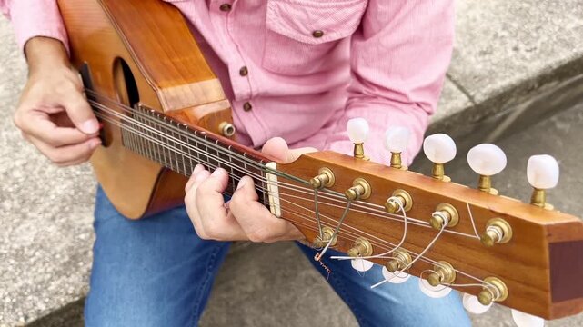 Detail Shot of Mandolin Headstock and Hands Playing Chords on Frets