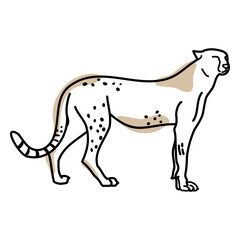 Cheetah color stroke © Vexels