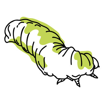 Color stroke walking caterpillar