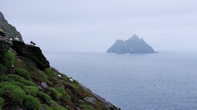 Little Skellig island from the main Skellig Michael island with puffins on foggy day. The World Heritage Site in Ireland	