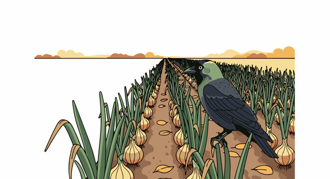 A crow surveys rows of onions in a field under a hazy sky