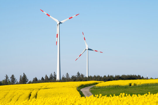 Wind turbine park and yellow blooming raps field in spring, agriculture and renewable sustainable energy, countryside, cultivated farmland 