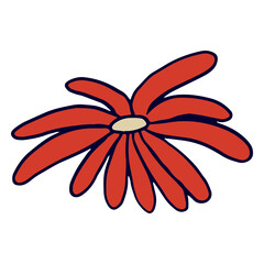 Fototapeta premium Cinco de mayo red flower icon