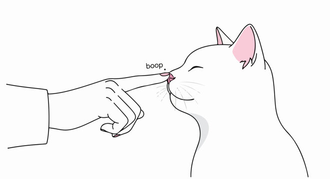 A finger gently boops a white cat's pink nose, with a subtle grey shadow