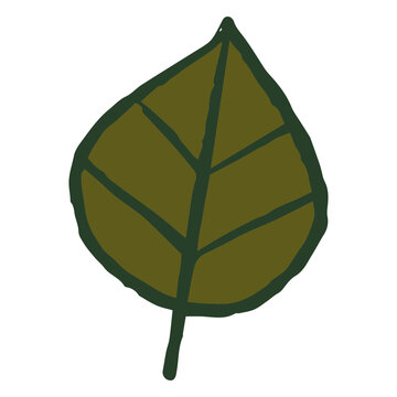 Dark green leaf doodle