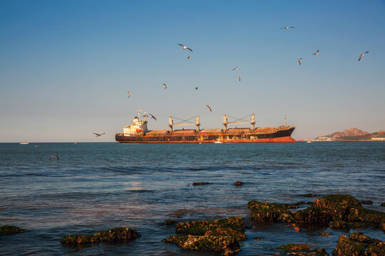 Weihai Rongcheng stranded "Blueways" ship with seagulls, rocks, sunset, and sea view, China