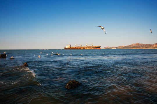 Weihai Rongcheng stranded "Blueways" ship with seagulls, rocks, sunset, and sea view, China