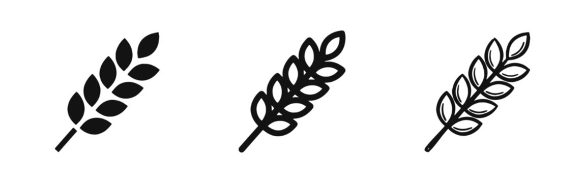 Ear of Wheat Grain Agriculture and Organic Food Icon Set