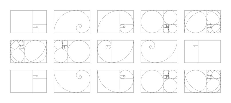 Golden ratio used in design collection. Template of golden ratio harmony proportions. Horizontal Fibonacci numbers array set of 15 horizontal elements.