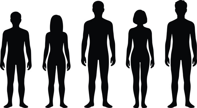 Diverse group of men and women silhouettes standing in a row representing community, teamwork, and human figures for social diversity and inclusion design projects