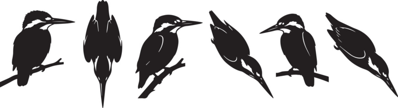 Kingfisher bird silhouette collection, 6 black vector icons of wild birds in flight and perched, minimalist avian nature graphics