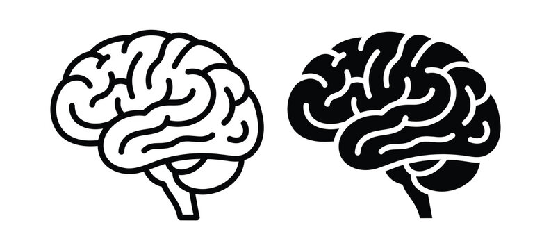 Black and white brain illustrations Vector