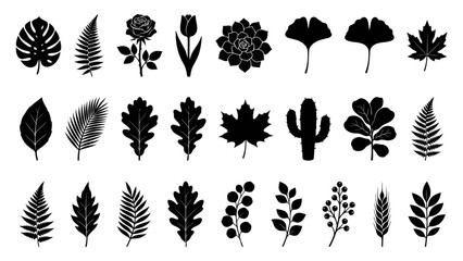 Fototapeta premium A diverse collection of black silhouette plant motifs, including leaves, flowers, and succulents, perfect for design purposes.