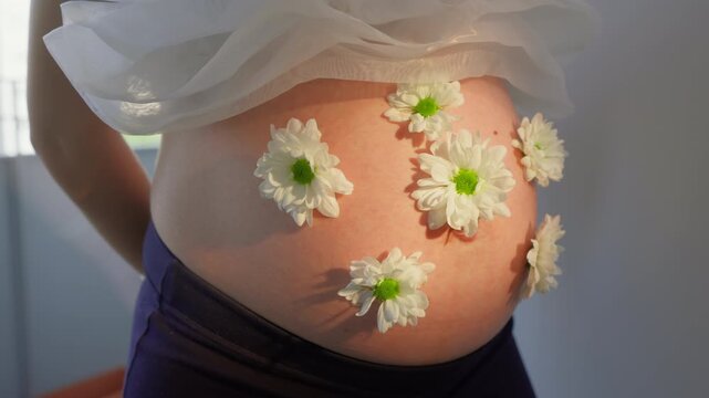 Round bare pregnant belly with white daisy flowers placed on skin, sheer fabric above, strong warm window light illuminates from side