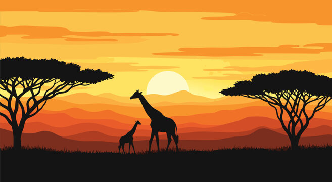 African Savannah Sunset Silhouette Vector Illustration featuring Giraffes and Acacia Trees amidst a warm color gradient landscape and sky
