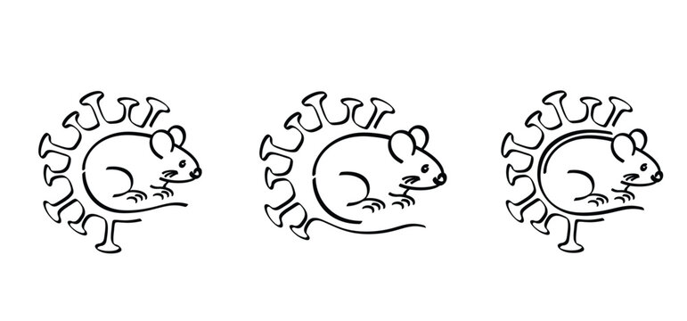 Hantavirus infHantavirus infections or hanta virus. Hantavirus, official name orthohantaviruses, are transmitted to humans through the urine, feces, and saliva of raections or hanta virus. Hantavirus,