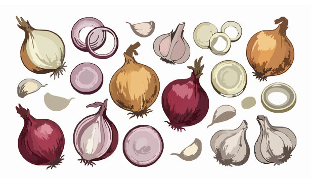 Hand drawn onion and garlic collection with slices botanical sketch vector isolated on white background