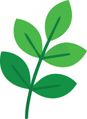 Fototapeta premium Green Leaf Branch Vector Icon Isolated on White Background Flat Design of Organic Foliage
