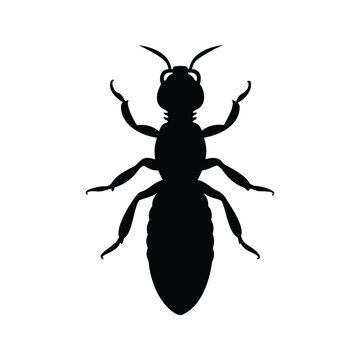Silhouette of termite insect isolated on white background vector illustration design, termite silhouette vector illustration