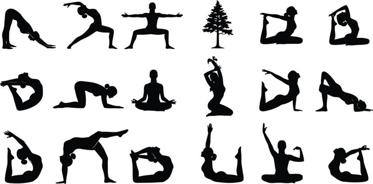 Silhouettes of people performing various yoga poses and tree.