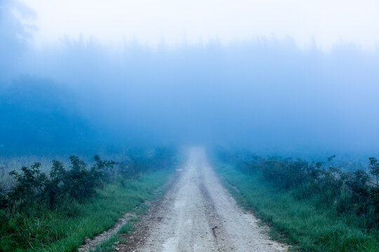 road in the mist at sunrise, Swellendam, South Africa