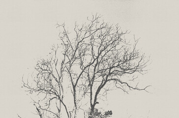 Obraz premium silhouette of a tree vintage poster halftone
