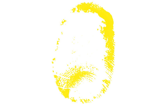 Yellow fingerprint ink stamp on white background. Vibrant biometric thumbprint texture. Human identity and security verification symbol.