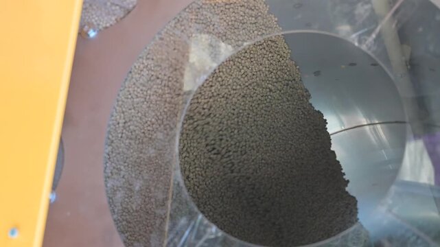 A close-up of soybeans is processed in a metal drum in a pickling machine to improve seed germination. Seed treatment to increase yields