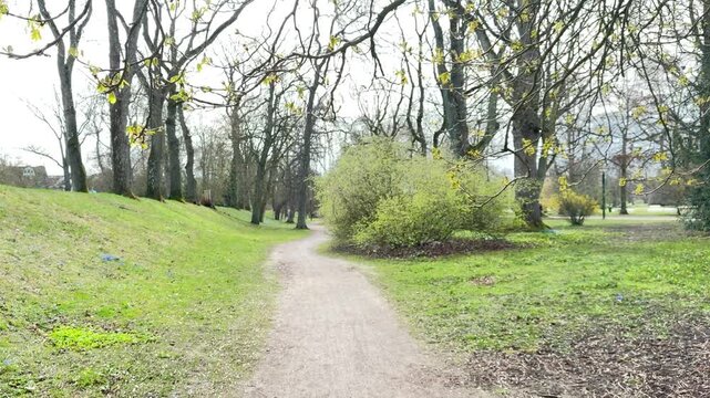 POV walking through spring park path with trees and fresh greenery, peaceful outdoor nature scene in sunlight, slow forward motion and calm lifestyle environment