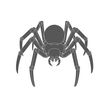 Dark Spider Silhouette, Creepy Insect, Arachnid, Halloween, Horror, Danger, Macro