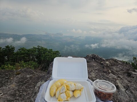 Durian on Bokor mountain 