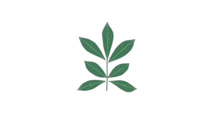 Fototapeta premium Green Leaf Plant Icon | Natural Eco Friendly Botanical Symbol Design