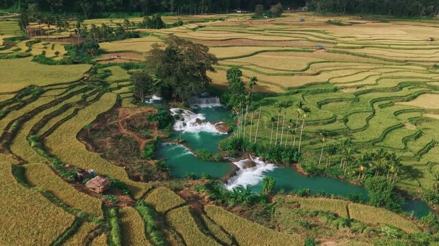 Rice field waterfall in Sumba, Indonesia landscape