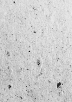 Large vector halftone recycled paper texture with a transparent background