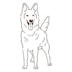 White shepherd happy dog stroke © Vexels
