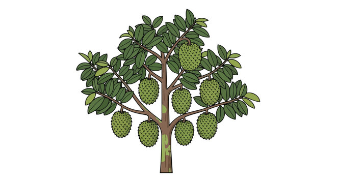 Tropical soursop tree with green prickly fruits and lush foliage illustration isolated on white background