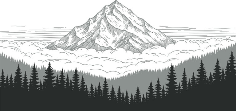 Mountain peak above clouds with pine forest foreground in a detailed hand drawn engraving vector illustration style