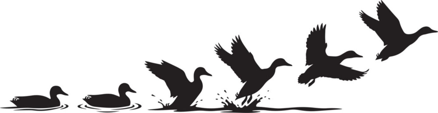 Flying duck silhouette sequence, mallard birds taking off from water surface, black waterfowl flight motion vector art