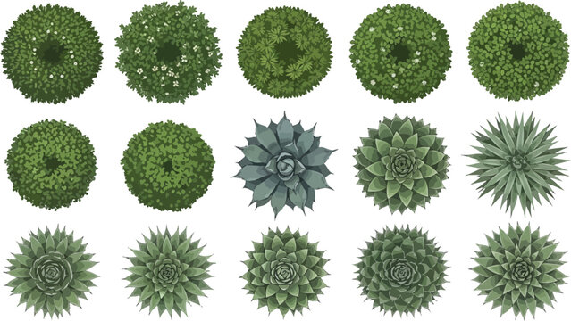 Top view set of garden shrubs and succulent plants for architectural landscape design and site planning vector