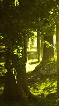 Bright light filters through green leaves in a forest. Tall trees stand in rows as sunlight creates patterns on the ground. The scene shows the beauty of nature during a warm day.