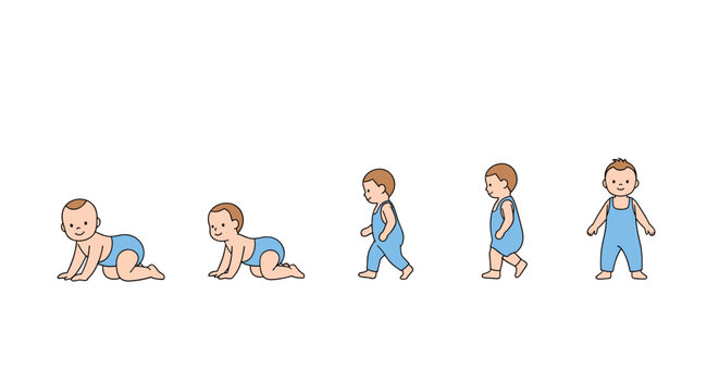 Developmental sequence showing a baby growing from crawling to standing and eventually walking independently over time.
