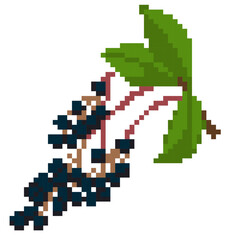 Fototapeta premium Pixel Art Hackberry- Pixel Art Sample