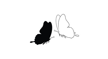 Butterfly silhouettes and line drawing on white background © Tm Studio