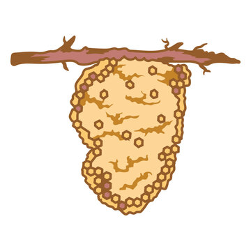 Bee panel