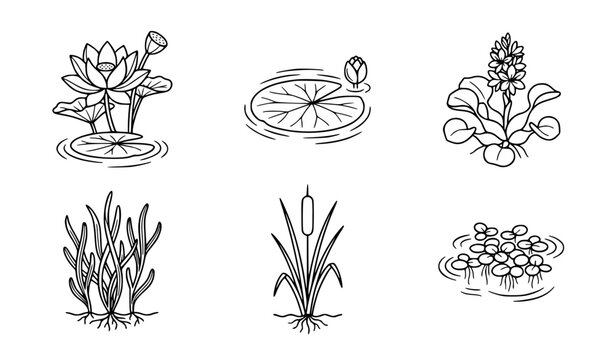 Minimalist aquatic plants and water flowers vector illustration set clean black and white outline of lotus lily pad and cattail