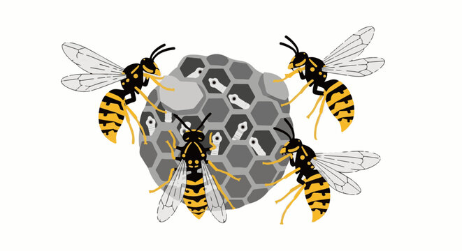 Four wasps surround a nest with larvae in hexagonal cells
