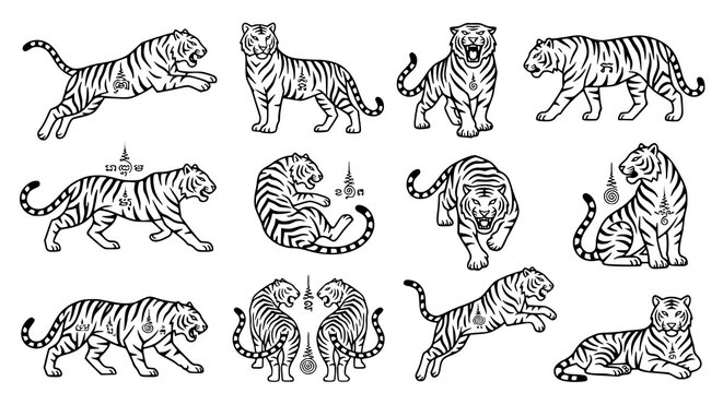 Traditional Thai tiger Yantra vector set with hand drawn ink tattoo style animal illustrations