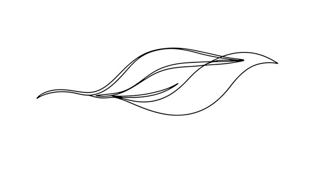 Minimalist abstract leaf shape drawn with a single continuous black line